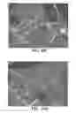 Fig. 22 - POLYIMIDE RESINS FOR HIGH TEMPERATURE WEAR APPLICATIONS