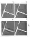 Fig. 02 - Alignment of carbon nanotubes comprising magnetically sensitive metal oxides in nanofluids