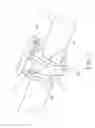 Fig. 08 - Accessory connection member for bicycles