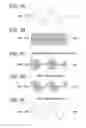 Fig. 08 - VEHICLE EXISTENCE NOTIFICATION APPARATUS