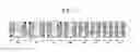 Fig. 08 - Embedded memory design for low power video processor