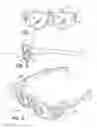 Fig. 02 - Frame hinge and side arm, eyeglass frame with multiple wearer connections and improved spectacle kit