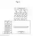 Fig. 03 - Multi-protocol wireless audio client device