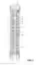 Fig. 02 - Unidirective condenser microphone unit and condenser microphone