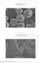 Fig. 02 - Electrostatic image developing toner, developer, and image forming apparatus