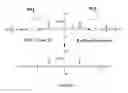 Fig. 02 - Functionalizing implantable devices with a poly (diol citrate) polymer