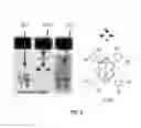 Fig. 07 - Star polymer nanoshells and methods of preparation thereof