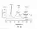 Fig. 09 - Star polymer nanoshells and methods of preparation thereof