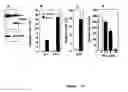 Fig. 11 - Sphingosine kinase type 1 inhibitors, and processes for using same