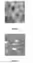 Fig. 02 - Hydrophilically-modified silicone compositions