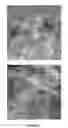Fig. 03 - Hydrophilically-modified silicone compositions