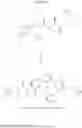 Fig. 229 - Modulators of pharmacokinetic properties of therapeutics