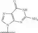 Fig. 131 - 2′allene-substituted nucleoside derivatives