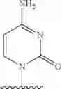Fig. 158 - 2′allene-substituted nucleoside derivatives