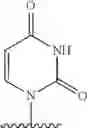 Fig. 2002 - 2′allene-substituted nucleoside derivatives