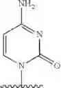 Fig. 2011 - 2′allene-substituted nucleoside derivatives