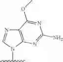 Fig. 2152 - 2′allene-substituted nucleoside derivatives