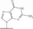 Fig. 2164 - 2′allene-substituted nucleoside derivatives
