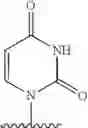 Fig. 2182 - 2′allene-substituted nucleoside derivatives