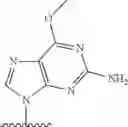 Fig. 239 - 2′allene-substituted nucleoside derivatives