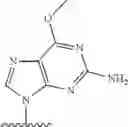Fig. 2452 - 2′allene-substituted nucleoside derivatives