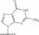 Fig. 2467 - 2′allene-substituted nucleoside derivatives