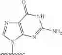 Fig. 255 - 2′allene-substituted nucleoside derivatives