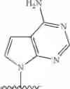Fig. 265 - 2′allene-substituted nucleoside derivatives