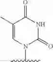 Fig. 294 - 2′allene-substituted nucleoside derivatives