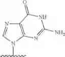 Fig. 303 - 2′allene-substituted nucleoside derivatives