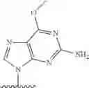 Fig. 320 - 2′allene-substituted nucleoside derivatives