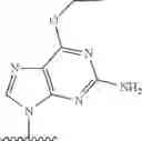 Fig. 321 - 2′allene-substituted nucleoside derivatives