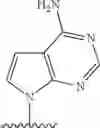 Fig. 367 - 2′allene-substituted nucleoside derivatives