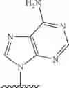 Fig. 445 - 2′allene-substituted nucleoside derivatives