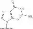 Fig. 484 - 2′allene-substituted nucleoside derivatives