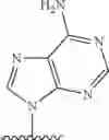 Fig. 486 - 2′allene-substituted nucleoside derivatives