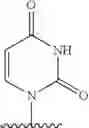 Fig. 489 - 2′allene-substituted nucleoside derivatives