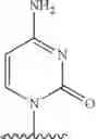 Fig. 511 - 2′allene-substituted nucleoside derivatives