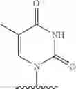 Fig. 613 - 2′allene-substituted nucleoside derivatives
