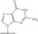 Fig. 643 - 2′allene-substituted nucleoside derivatives