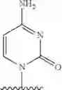 Fig. 652 - 2′allene-substituted nucleoside derivatives