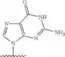 Fig. 663 - 2′allene-substituted nucleoside derivatives