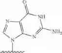 Fig. 71 - 2′allene-substituted nucleoside derivatives
