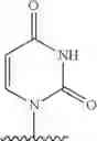 Fig. 735 - 2′allene-substituted nucleoside derivatives