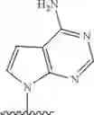 Fig. 85 - 2′allene-substituted nucleoside derivatives