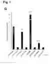 Fig. 03 - Generation of functional basal forebrain cholinergic neurons from stem cells