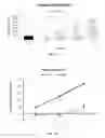 Fig. 08 - Method of treatment using solubilized protein composition obtained from eggshell membrane