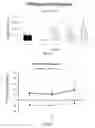 Fig. 09 - Method of treatment using solubilized protein composition obtained from eggshell membrane