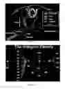 Fig. 02 - Integrin alpha 8-beta 1-specific monoclonal antibody