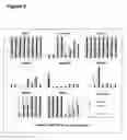 Fig. 06 - AMPHOTERIC LIPOSOMES COMPRISING IMINO LIPIDS